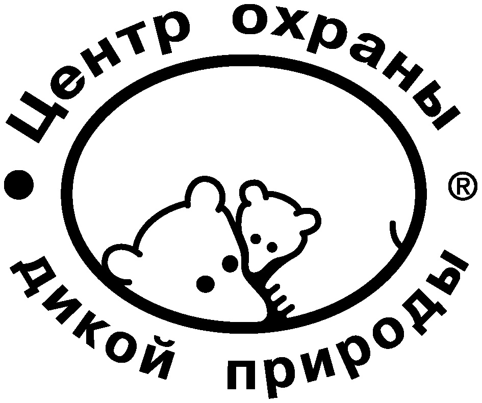 BCC_Logo.jpg
