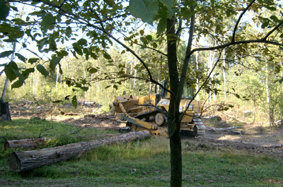 12_08_2011_Buldozer2.JPG