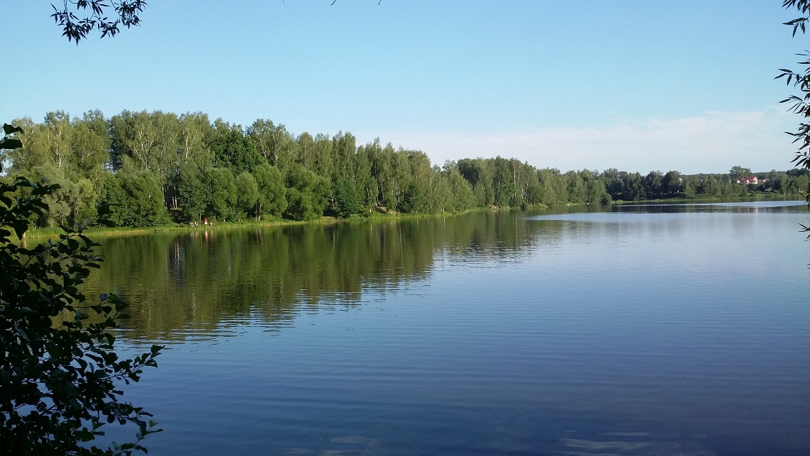 Западный троекуровский пруд. Рузское озеро. Липитино пруд. Озеро Липитино Озёрский район. Поварово водоемы.