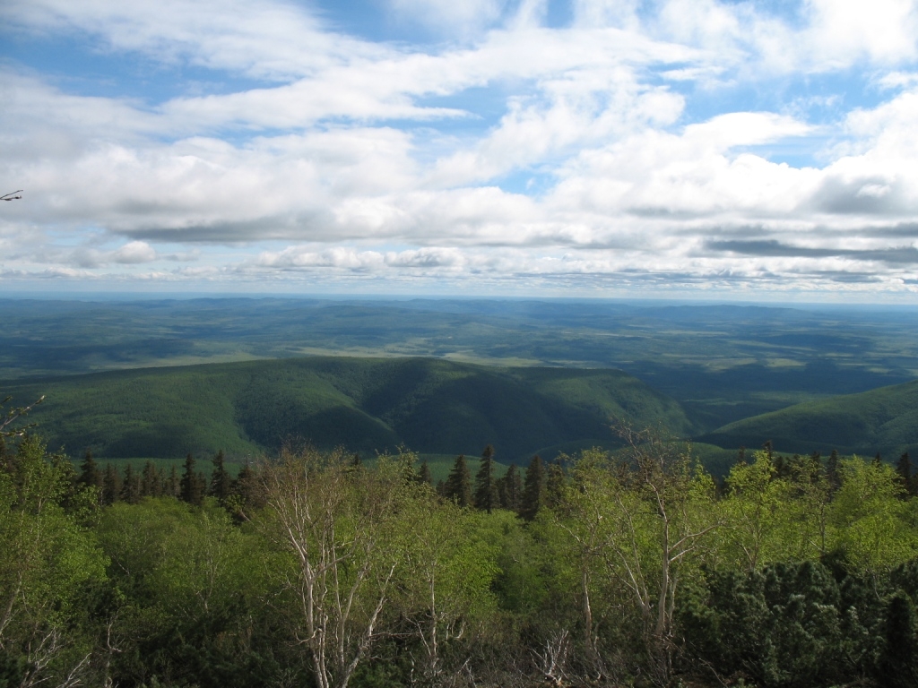Картинки зейский заповедник